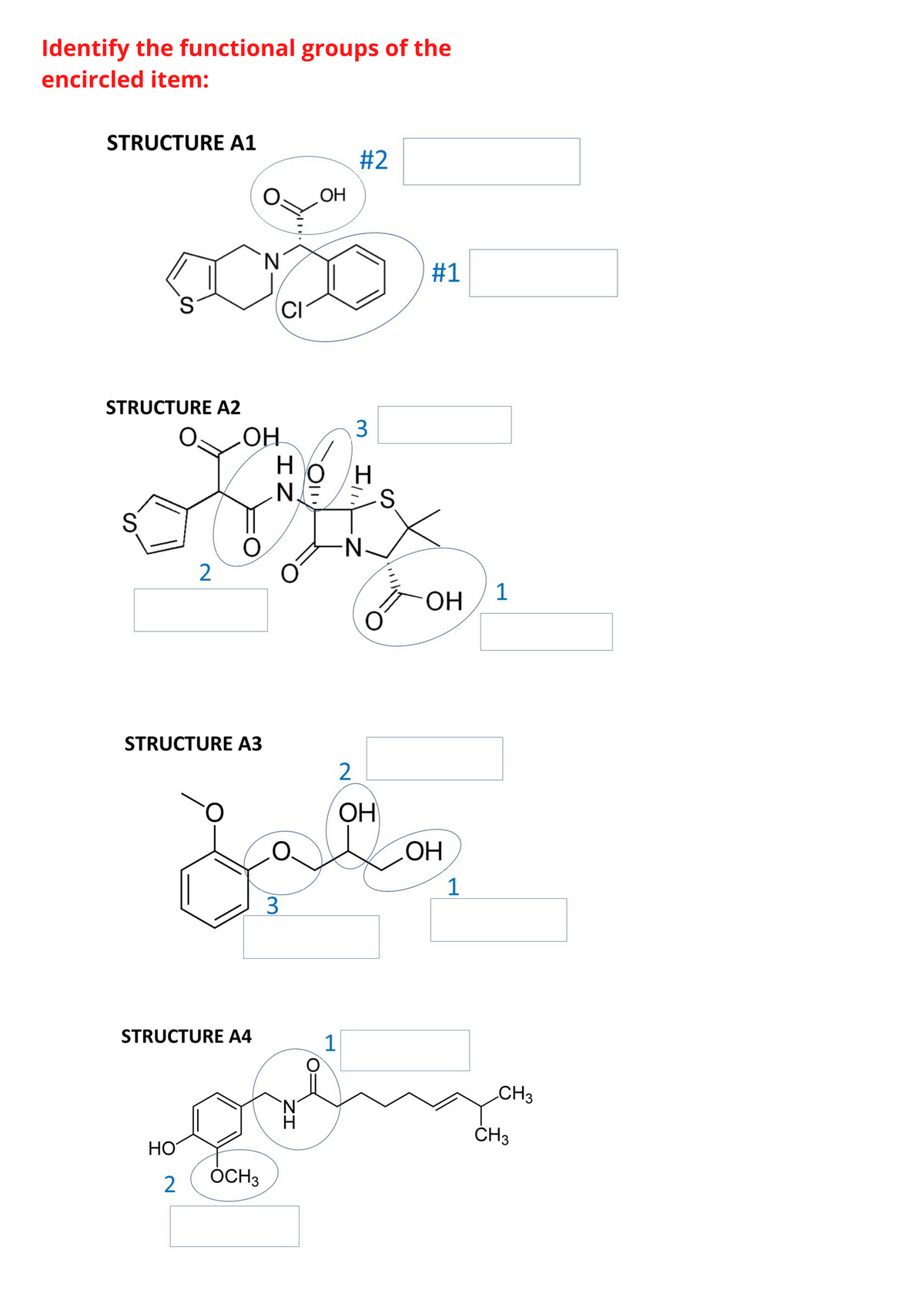 Identify the functional groups of the
encircled item:
STRUCTURE A1
#2
OH
N
#1
S.
CI
STRUCTURE A2
3.
OH
H.
S.
-N-
2
1
ОН
STRUCTURE A3
2
OH
ОН
1
STRUCTURE A4
1
CH3
N.
H.
ČH3
HO
2
ÓCH3
IZ
