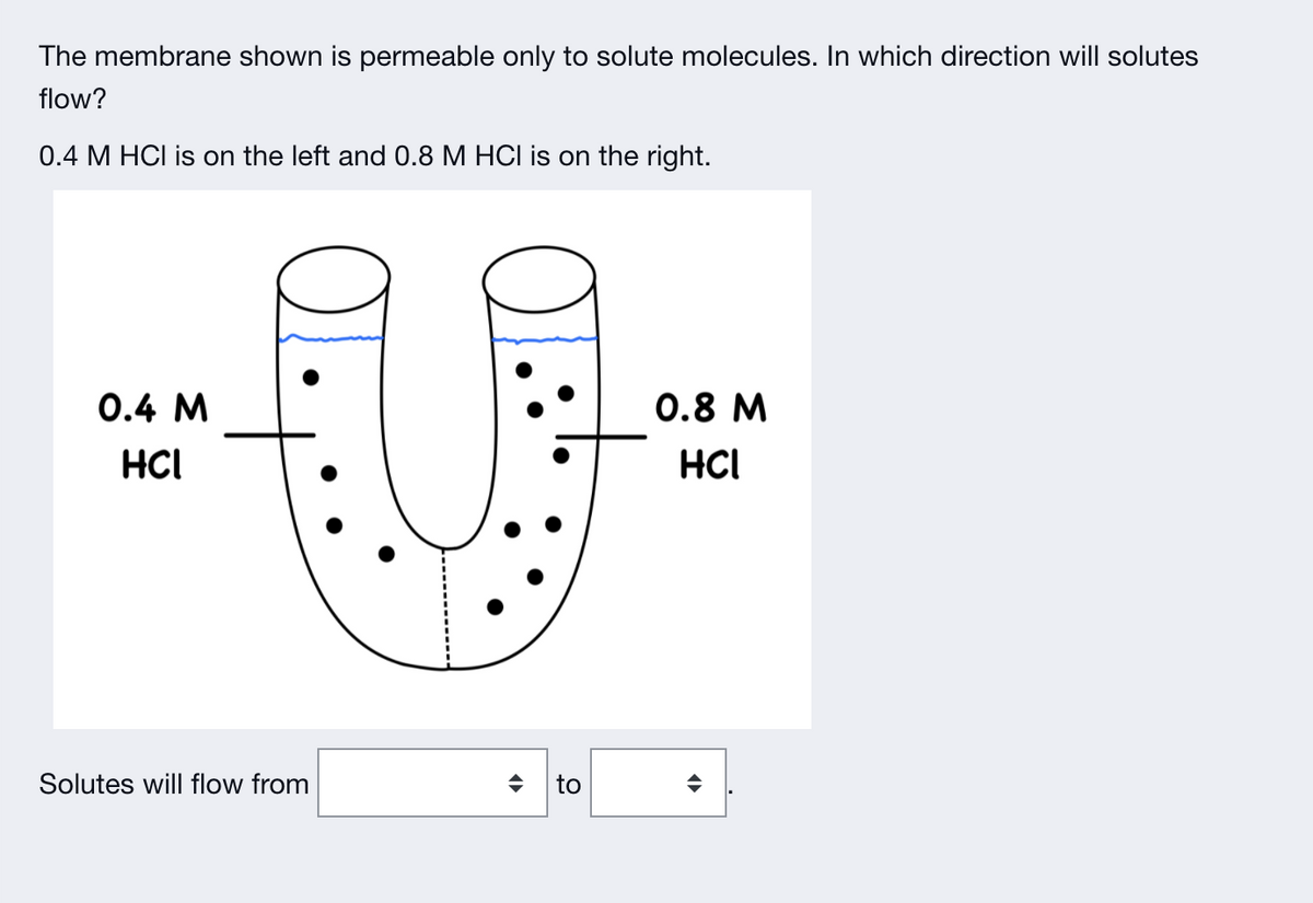 The membrane shown is permeable only to solute molecules. In which direction will solutes
flow?
0.4 M HCI is on the left and 0.8 M HCI is on the right.
0.4 M
0.8 M
HCI
HCI
Solutes will flow from
to
