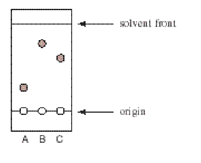 solvent front
origin