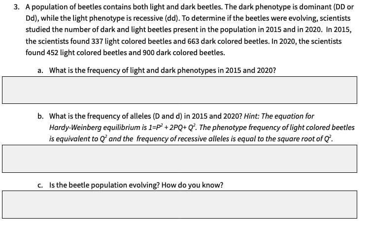 3. A population of beetles contains both light and dark beetles. The dark phenotype is dominant (DD or
Dd), while the light phenotype is recessive (dd). To determine if the beetles were evolving, scientists
studied the number of dark and light beetles present in the population in 2015 and in 2020. In 2015,
the scientists found 337 light colored beetles and 663 dark colored beetles. In 2020, the scientists
found 452 light colored beetles and 900 dark colored beetles.
a. What is the frequency of light and dark phenotypes in 2015 and 2020?
b. What is the frequency of alleles (D and d) in 2015 and 2020? Hint: The equation for
Hardy-Weinberg equilibrium is 1-P² +2PQ+ Q². The phenotype frequency of light colored beetles
is equivalent to Q² and the frequency of recessive alleles is equal to the square root of Q².
c. Is the beetle population evolving? How do you know?