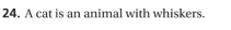 24. A cat is an animal with whiskers.
