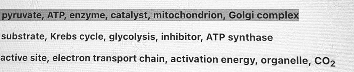 pyruvate, ATP, enzyme, catalyst, mitochondrion, Golgi complex
substrate, Krebs cycle, glycolysis, inhibitor, ATP synthase
active site, electron transport chain, activation energy, organelle, CO2
