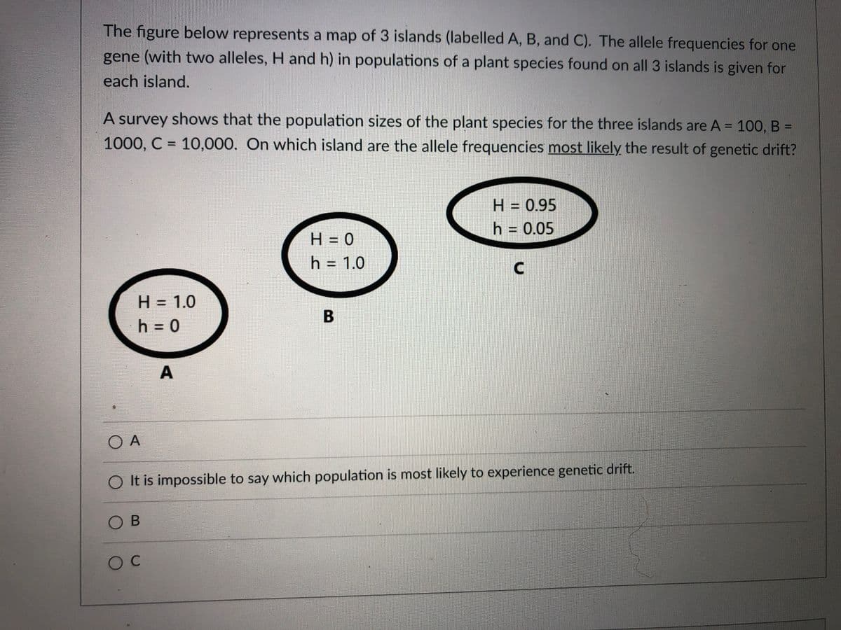 The figure below represents a map of 3 islands (labelled A, B, and C). The allele frequencies for one
gene (with two alleles, H and h) in populations of a plant species found on all 3 islands is given for
each island.
A survey shows that the population sizes of the plant species for the three islands are A = 100, B =
1000, C = 10,000. On which island are the allele frequencies most likely the result of genetic drift?
H = 0.95
h = 0.05
%3D
%3D
H = 0
h = 1.0
%3D
H = 1.0
h = 0
%3D
O A
O It is impossible to say which population is most likely to experience genetic drift.
O B
A.
