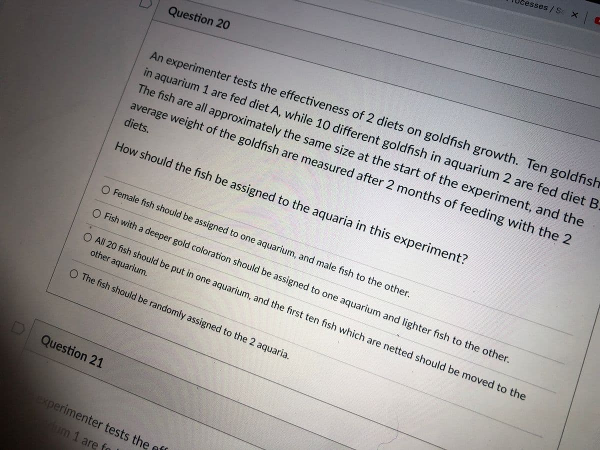 C
cesses/ Se X
Question 20
An experimenter tests the effectiveness of 2 diets on goldfish growth. Ten goldfish
in aquarium 1 are fed diet A, while 10 different goldfish in aquarium 2 are fed diet B.
The fish are all approximately the same size at the start of the experiment, and the
average weight of the goldfish are measured after 2 months of feeding with the 2
diets.
How should the fish be assigned to the aquaria in this experiment?
O Female fish should be assigned to one aquarium, and male fish to the other.
O Fish with a deeper gold coloration should be assigned to one aquarium and lighter fish to the other.
O All 20 fish should be put in one aquarium, and the first ten fish which are netted should be moved to the
other aquarium.
O The fish should be randomly assigned to the 2 aquaria.
Question 21
xperimenter tests the eff
ium 1 are fo

