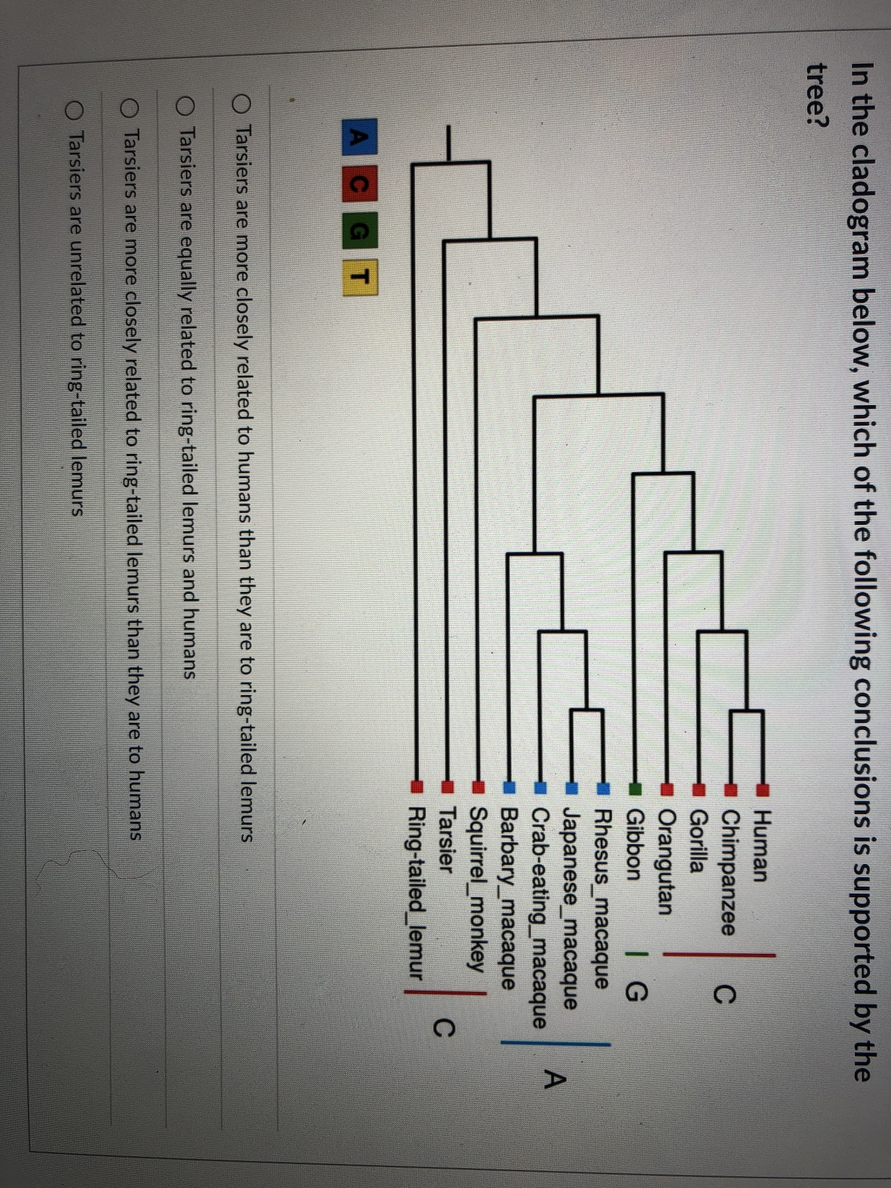 che cladogram below, which of the fol
e?
