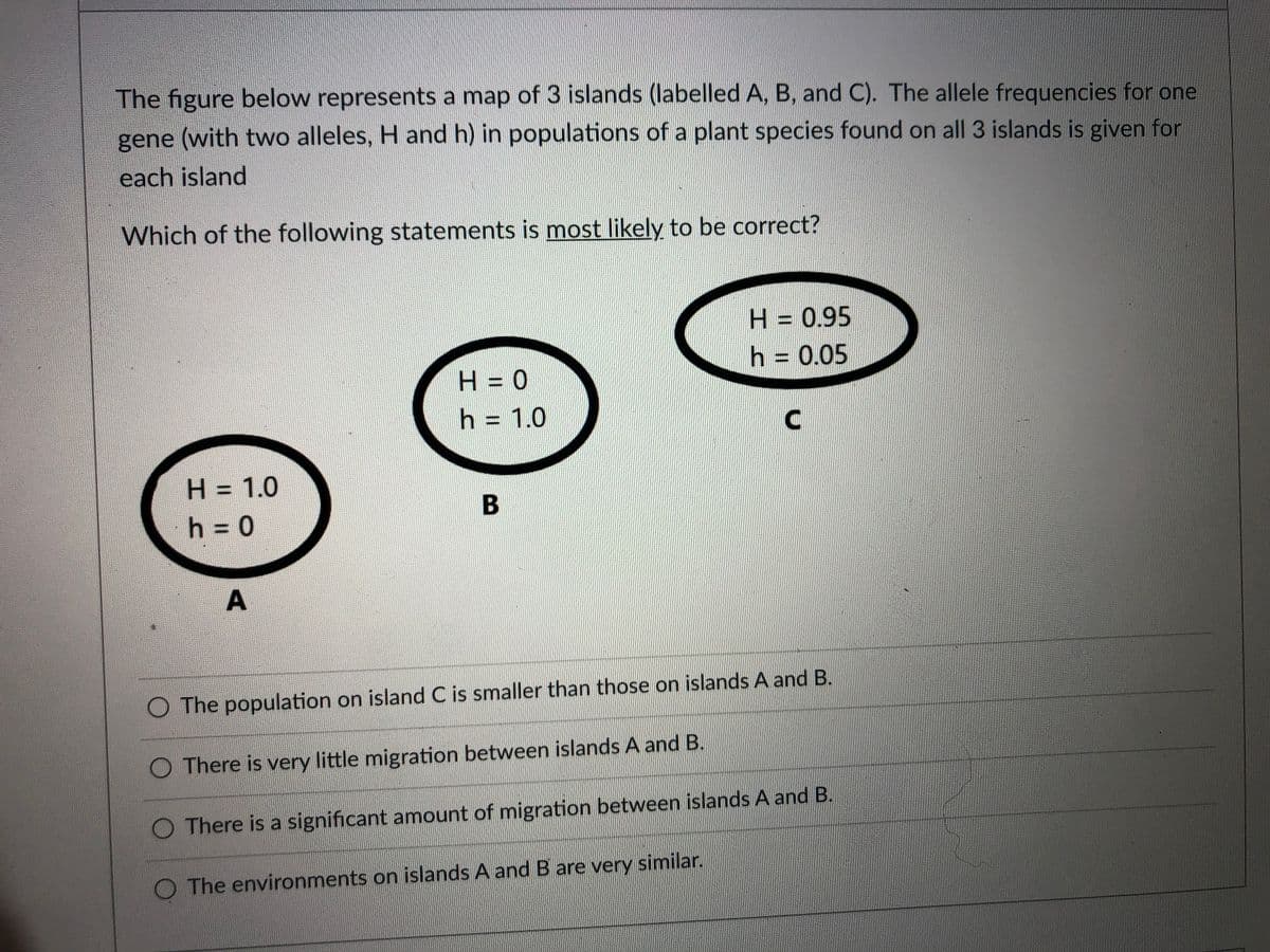 The figure below represents a map of 3 islands (labelled A, B, and C). The allele frequencies for one
gene (with two alleles, H and h) in populations of a plant species found on all 3 islands is given for
each island
Which of the following statements is most likely to be correct?
H = 0.95
h = 0.05
H = 0
h = 1.0
H = 1.0
h = 0
%3D
O The population on island C is smaller than those on islands A and B.
O There is very little migration between islands A and B.
O There is a significant amount of migration between islands A and B.
O The environments on islands A andB are very similar.
