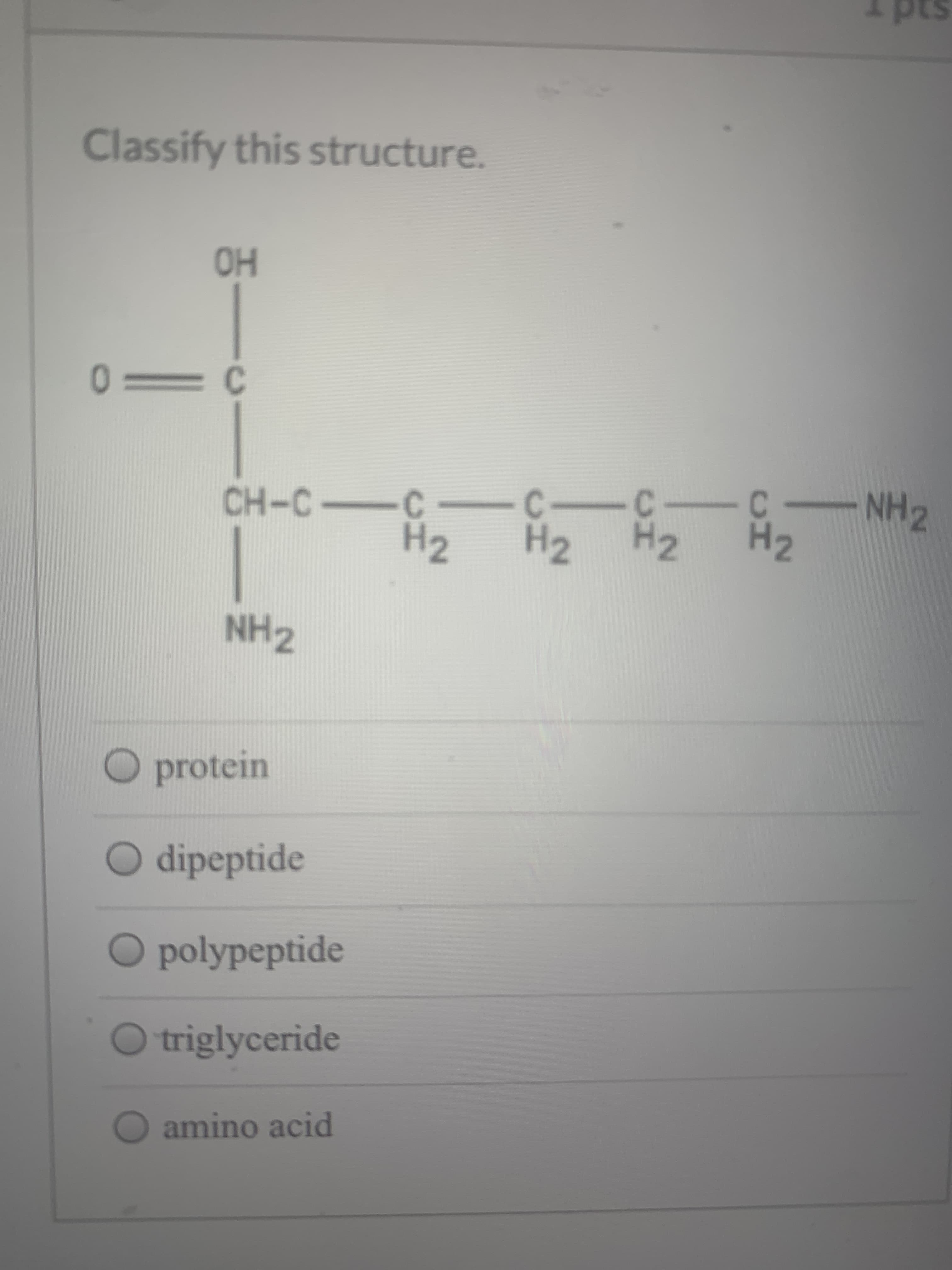 CS
Classify this structure.
OH
0 C
CH-C-
NH2
-C
Н2
с-
H2 Н2
C
C
H2
NH2
protein
dipeptide
Opolypeptide
triglyceride
amino acid
