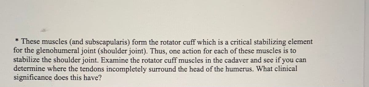 * These muscles (and subscapularis) form the rotator cuff which is a critical stabilizing element
for the glenohumeral joint (shoulder joint). Thus, one action for each of these muscles is to
stabilize the shoulder joint. Examine the rotator cuff muscles in the cadaver and see if you can
determine where the tendons incompletely surround the head of the humerus. What clinical
significance does this have?
