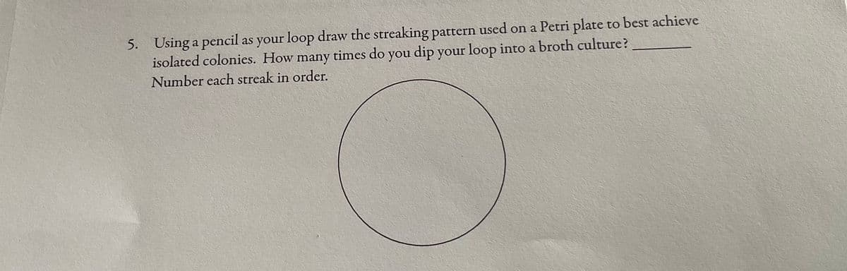 5. Using a pencil as your loop draw the streaking pattern used on a Petri plate to best achieve
isolated colonies. How many times do you dip your loop into a broth culture?
Number each streak in order.
