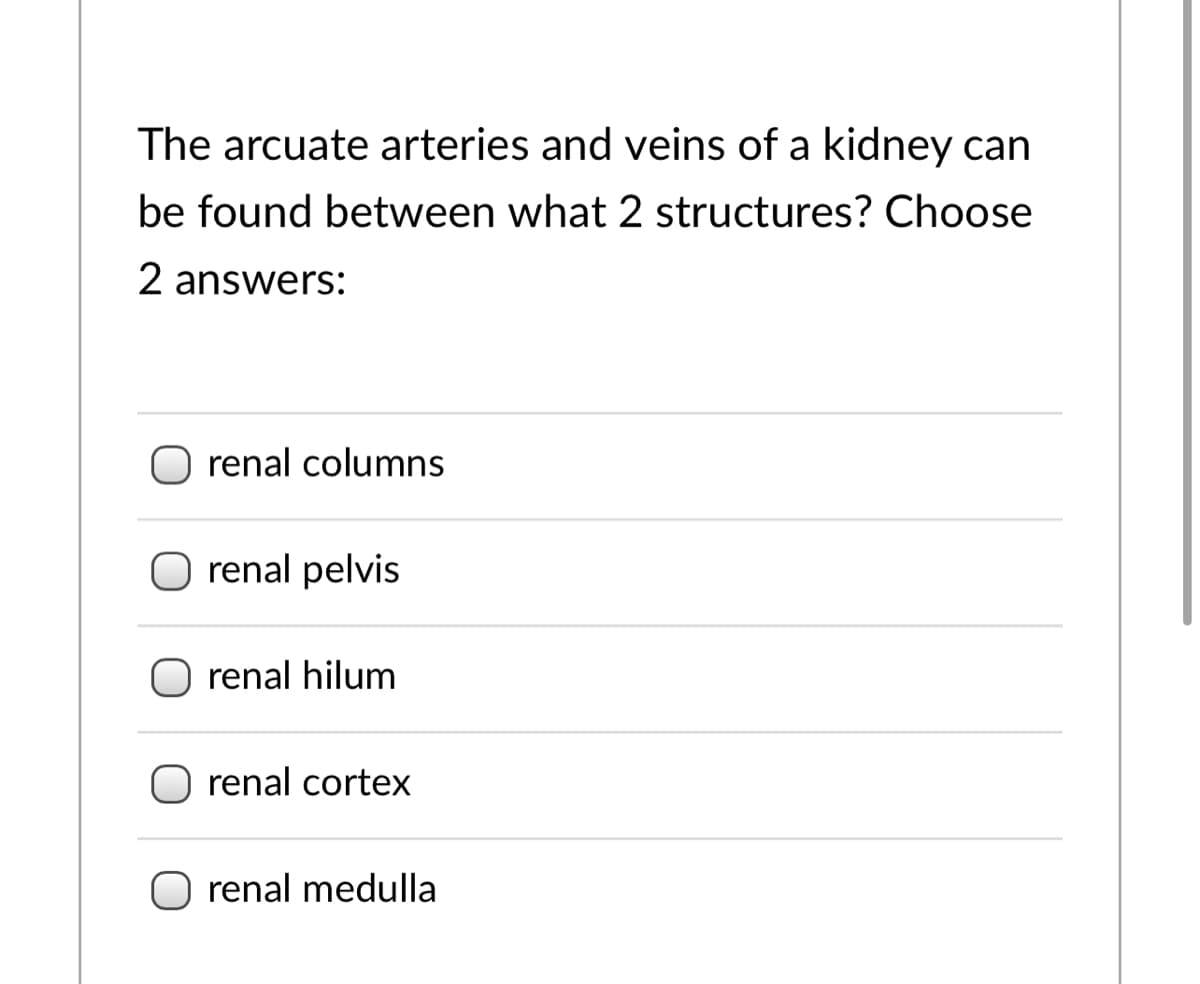The arcuate arteries and veins of a kidney can
be found between what 2 structures? Choose
2 answers:
renal columns
O renal pelvis
renal hilum
renal cortex
O renal medulla
