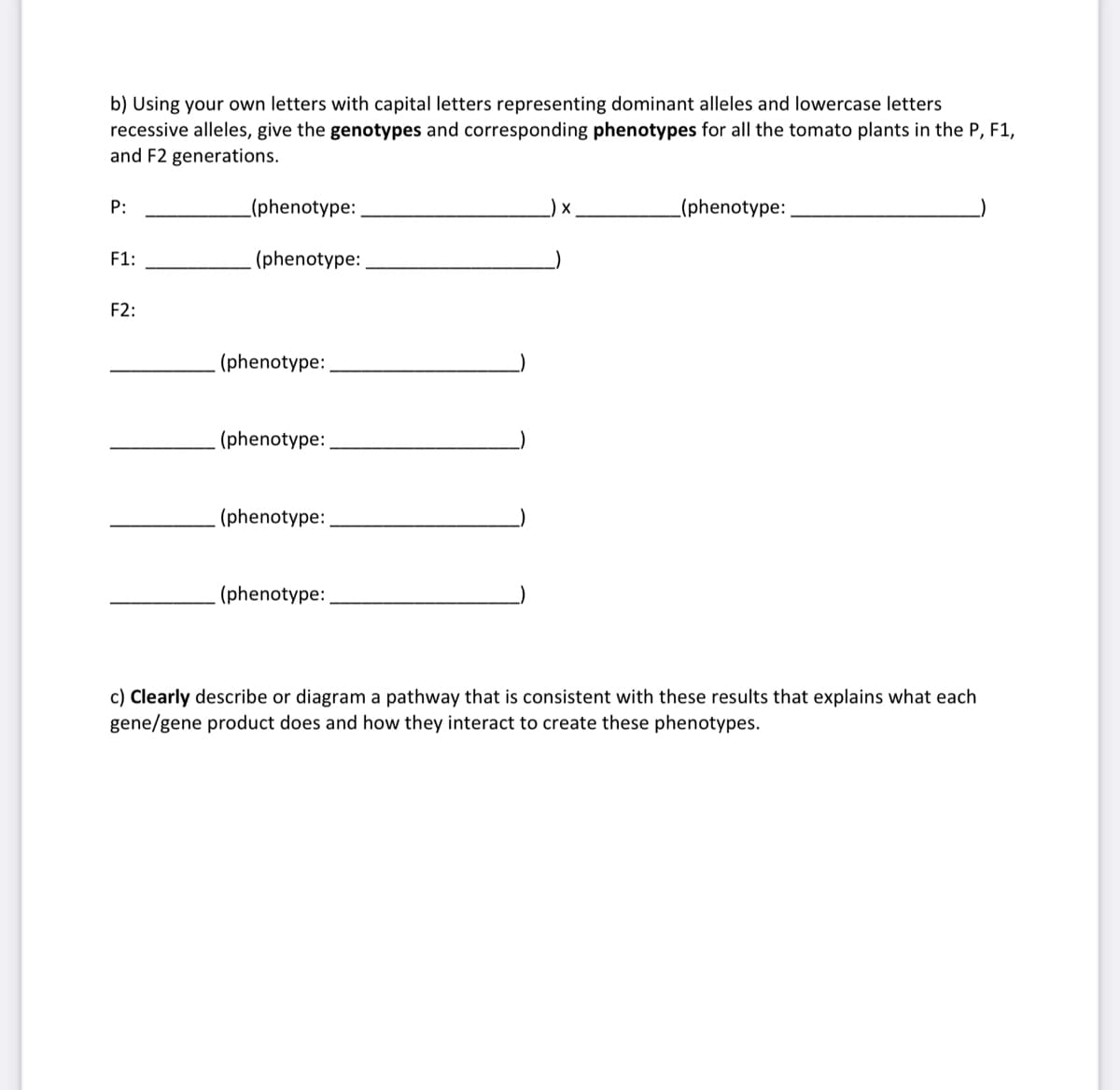 b) Using your own letters with capital letters representing dominant alleles and lowercase letters
recessive alleles, give the genotypes and corresponding phenotypes for all the tomato plants in the P, F1,
and F2 generations.
P:
(phenotype:
) x
(phenotype:
F1:
(phenotype:
F2:
(phenotype:
(phenotype:
(phenotype:
(phenotype:
c) Clearly describe or diagram a pathway that is consistent with these results that explains what each
gene/gene product does and how they interact to create these phenotypes.
