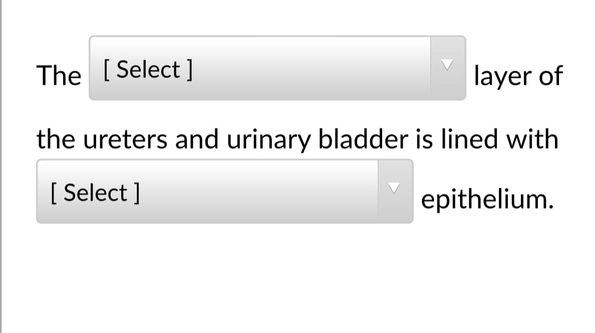 The [Select ]
layer of
the ureters and urinary bladder is lined with
[ Select ]
epithelium.
