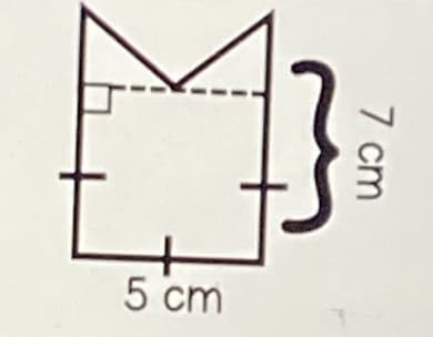 5 cm
7 cm
