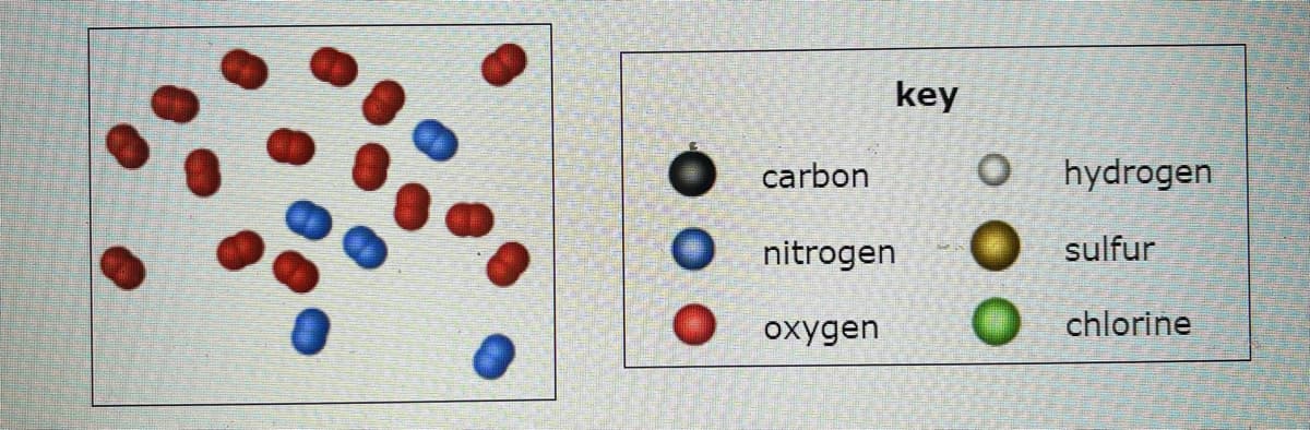 key
carbon
O hydrogen
nitrogen
sulfur
охудen
O chlorine
