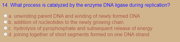 14. What process is catalyzed by the enzyme DNA ligase during replication?
a. unwinding parent DNA and winding of newly formed DNA
b. addition of nucleotides to the newly growing chain
c. hydrolysis of pyrophosphate and subsequent release of energy
d. joining together of short segments formed on one DNA strand
