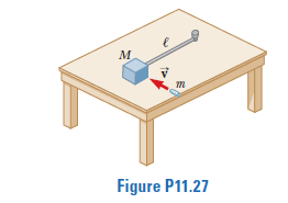 M
m
Figure P11.27
