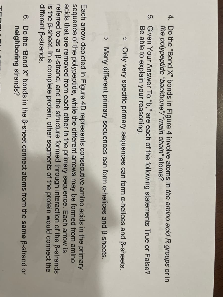 4. Do the "Bond X" bonds in Figure 4 involve atoms in the amino acid R groups or in
the polypeptide "backbone"/ “main chain" atoms?
5. Given Your Answer To "b," are each of the following statements True or False?
Be able to explain your reasoning.
o Only very specific primary sequences can form a-helices and B-sheets.
o Many different primary sequences can form a-helices and B-sheets.
Each arrow depicted in Figure 4D represents consecutive amino acids in the primary
sequence of the polypeptide, while the different arrows may be formed from amino
acids that are removed from each other in the primary sequence. Each arrow is
referred to as a B-strand, and the structure formed through interaction of the B-strands
is the B-sheet. In a complete protein, other segments of the protein would connect the
different B-strands.
6. Do the "Bond X" bonds in the B-sheet connect atoms from the same B-strand or
neighboring strands?
