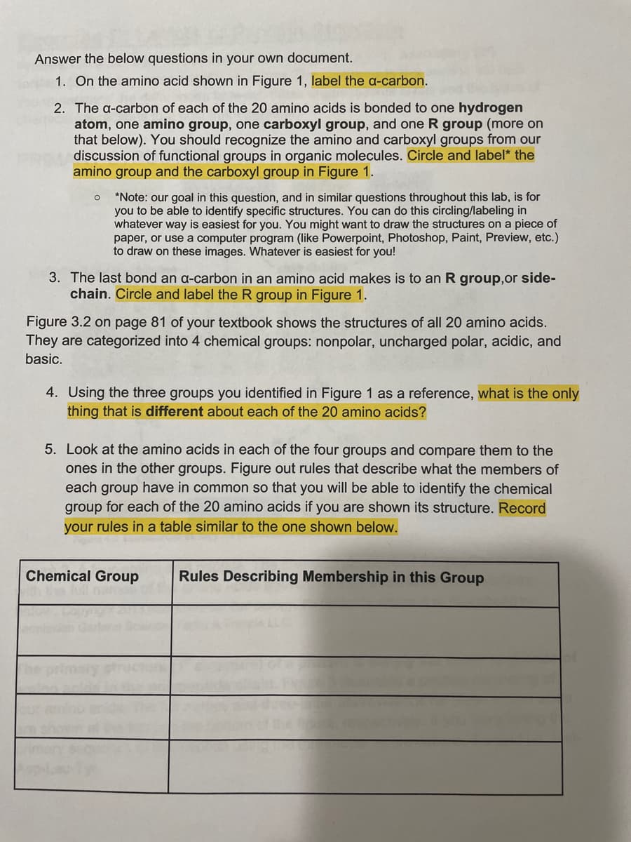 Answer the below questions in your own document.
1. On the amino acid shown in Figure 1, label the a-carbon.
2. The a-carbon of each of the 20 amino acids is bonded to one hydrogen
atom, one amino group, one carboxyl group, and one R group (more on
that below). You should recognize the amino and carboxyl groups from our
discussion of functional groups in organic molecules. Circle and label* the
amino group and the carboxyl group in Figure 1.
*Note: our goal in this question, and in similar questions throughout this lab, is for
you to be able to identify specific structures. You can do this circling/labeling in
whatever way is easiest for you. You might want to draw the structures on a piece of
paper, or use a computer program (like Powerpoint, Photoshop, Paint, Preview, etc.)
to draw on these images. Whatever is easiest for you!
3. The last bond an a-carbon in an amino acid makes is to an R group,or side-
chain. Circle and label the R group in Figure 1.
Figure 3.2 on page 81 of
They are categorized into 4 chemical groups: nonpolar, uncharged polar, acidic, and
basic.
our textbook shows the structures of all 20 amino acids.
4. Using the three groups you identified in Figure 1 as a reference, what is the only
thing that is different about each of the 20 amino acids?
5. Look at the amino acids in each of the four groups and compare them to the
ones in the other groups. Figure out rules that describe what the members of
each group have in common so that you will be able to identify the chemical
group for each of the 20 amino acids if you are shown its structure. Record
your rules in a table similar to the one shown below.
Chemical Group
Rules Describing Membership in this Group
