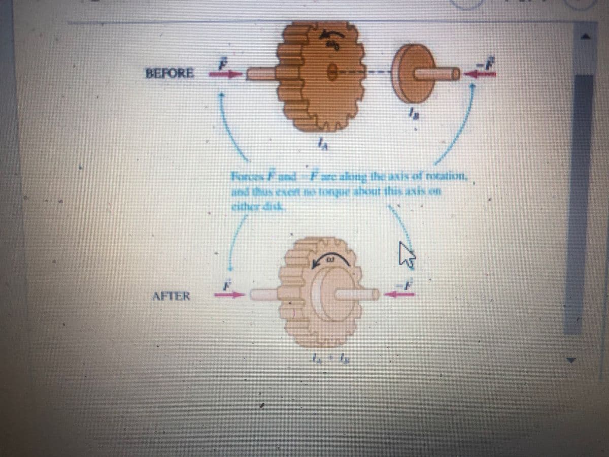 BEFORE
Fonces F and - Farc along the axis of rotation.
either disk.
AFTER
