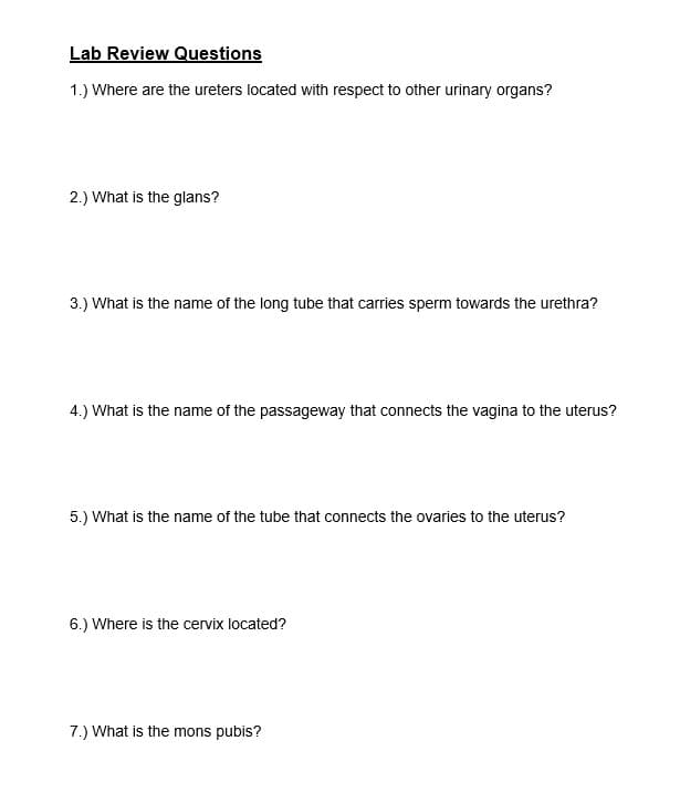 Lab Review Questions
1.) Where are the ureters located with respect to other urinary organs?
2.) What is the glans?
3.) What is the name of the long tube that carries sperm towards the urethra?
4.) What is the name of the passageway that connects the vagina to the uterus?
5.) What is the name of the tube that connects the ovaries to the uterus?
6.) Where is the cervix located?
7.) What is the mons pubis?