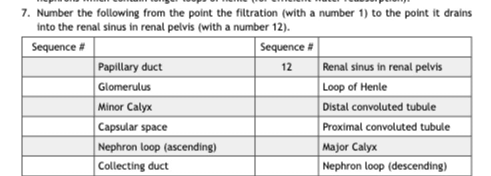 7. Number the following from the point the filtration (with a number 1) to the point it drains
into the renal sinus in renal pelvis (with a number 12).
Sequence #
Sequence #
12
Papillary duct
Glomerulus
Minor Calyx
Capsular space
Nephron loop (ascending)
Collecting duct
Renal sinus in renal pelvis
Loop of Henle
Distal convoluted tubule
Proximal convoluted tubule
Major Calyx
Nephron loop (descending)