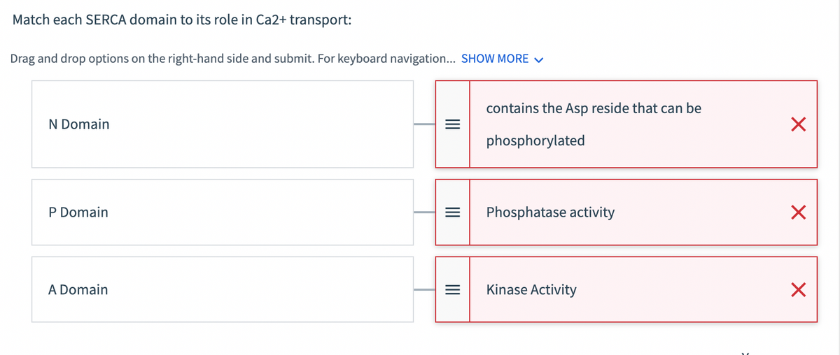 Match each SERCA domain to its role in Ca2+ transport:
Drag and drop options on the right-hand side and submit. For keyboard navigation... SHOW MORE ✓
N Domain
P Domain
A Domain
|||
=
=
contains the Asp reside that can be
phosphorylated
Phosphatase activity
Kinase Activity
X
X
X