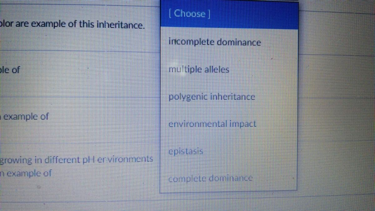 (Choose]
plor are example of this inheritance.
incomplete dominance
ole of
imuluple alleles
polygenic inheritance
example of
environmental impact
epistasis
growing in different pl ervironments
nexample of
complete dominance
