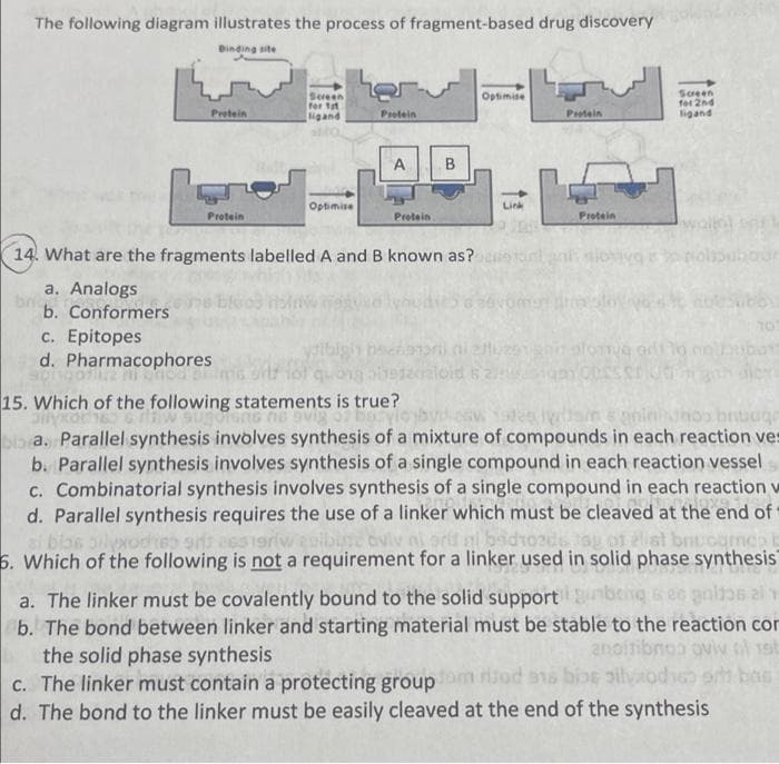 The following diagram illustrates the process of fragment-based drug discovery
Đinding site
her
Sereen
For tst
ligand
Sogen
fer 2nd
ligand
Optimise
Pretein
Protein
Protein
A
B.
Optimise
Link
Pretein
Protein
Protein
14. What are the fragments labelled A and B known as? nhsioiyg onolisubiour
a. Analogs
b. Conformers
c. Epitopes
d. Pharmacophores
afomya ado nol
quoig
15. Which of the following statements is true?
aloid s
hoo bruage
bb a, Parallel synthesis involves synthesis of a mixture of compounds in each reaction ves
b. Parallel synthesis involves synthesis of a single compound in each reaction vessel
c. Combinatorial synthesis involves synthesis of a single compound in each reaction w
d. Parallel synthesis requires the use of a linker which must be cleaved at the end of
badtode au of elist brucgnca
a bias oilyxoctep sis ess1eriweulbre oviv niprif g ab
6. Which of the following is not a requirement for a linker used in solid phase synthesis
beng
nltas al
a. The linker must be covalently bound to the solid support
b. The bond between linker and starting material must be stable to the reaction con
the solid phase synthesis
c. The linker must contain a protecting group m rod as bioe pilvodie ot
d. The bond to the linker must be easily cleaved at the end of the synthesis
anoitibnoo oviv
1sb
