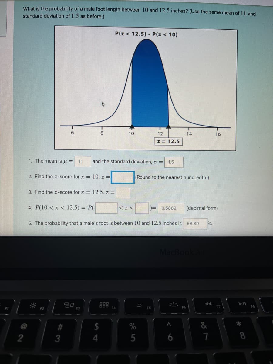 What is the probability of a male foot length between 10 and 12.5 inches? (Use the same mean of 11 and
standard deviation of 1.5 as before.)
P(z < 12.5) - P(z < 10)
6
8
10
12
14
16
z = 12.5
1. The mean is u =
11
and the standard deviation, o =
1.5
2. Find the z-score for x = 10. z =|
(Round to the nearest hundredth.)
3. Find the z-score for x = 12.5. z =
4. P(10 < x < 12.5) = P(
くzく
0.5889
(decimal form)
5. The probability that a male's foot is between 10 and 12.5 inches is 58.89
MacBook
O00
E3
F4
F5
F6
F7
*
$4
%
3
6
