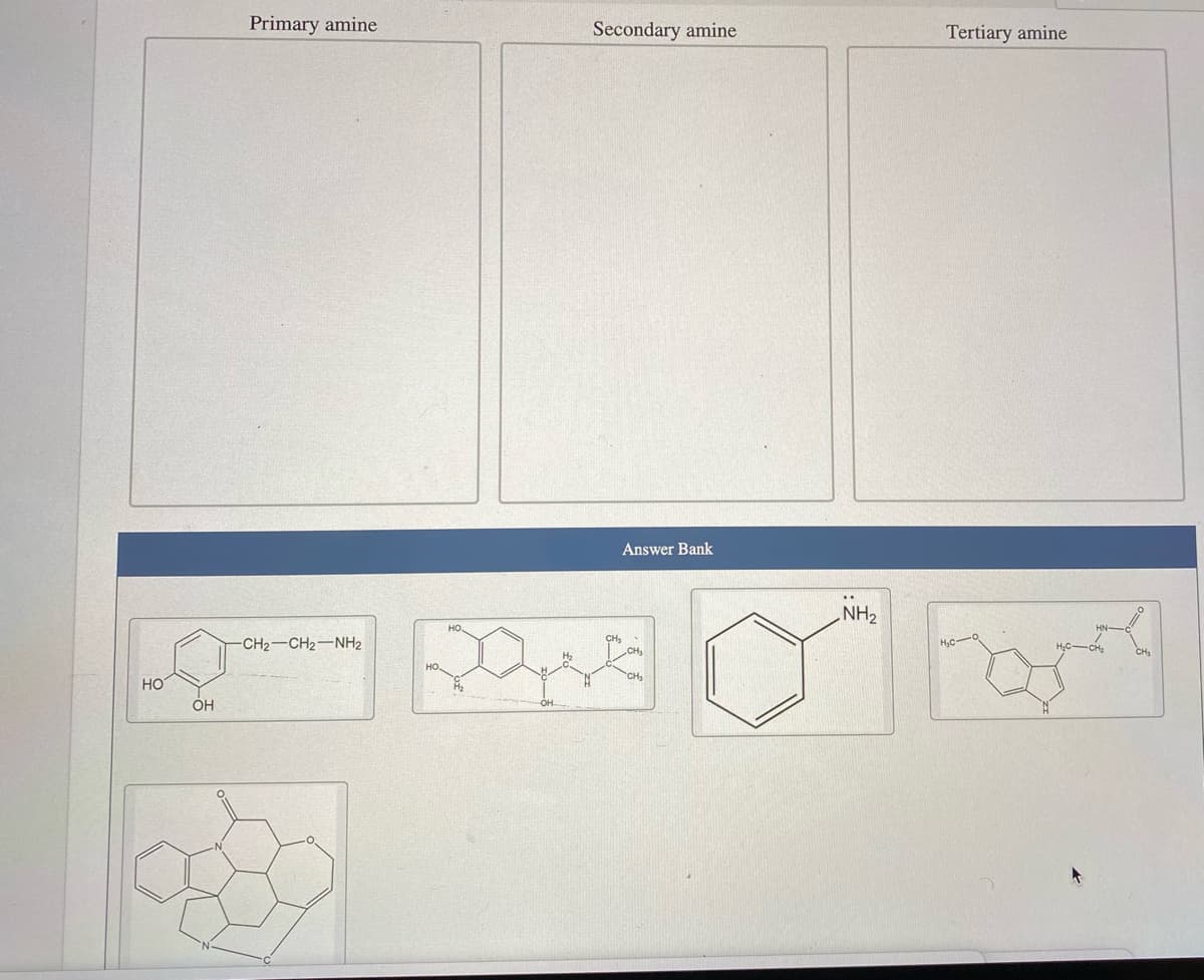 Primary amine
Secondary amine
Tertiary amine
Answer Bank
NH2
но.
-CH2-CH2-NH2
CH,
CH
H2
HO
HO
он
