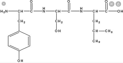 H2N -CH–C-
-CH-C
-CH-C
HO-
CH2
CH2
CH2
OH
CH-CH3
IZ
