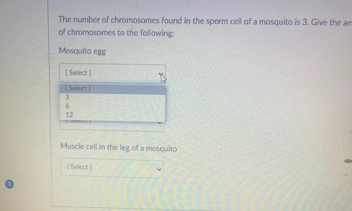 The number of chromosomes found in the sperm cell of a mosquito is 3. Give the am
of chromosomes to the following:
Mosquito egg
[ Select]
[Select]
3.
6.
12
Muscle cell in the leg of a mosquito
ESelect]
