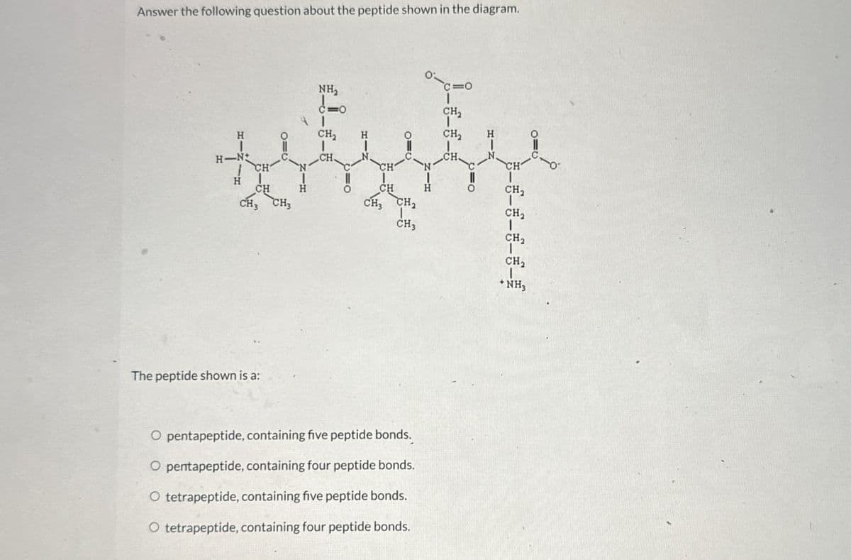 Answer the following question about the peptide shown in the diagram.
NH₂
C=O
9 T
CH₂
H
CH₂
H
=0
CH₂
H-N
CH
CH.
CH
N
CH
N
CH
H
CH
H
CH
H
CH2
CH3 CH3
CH3 CH2
CH2
CH3
CH₂
CH2
NH3
The peptide shown is a:
O pentapeptide, containing five peptide bonds.
O pentapeptide, containing four peptide bonds.
O tetrapeptide, containing five peptide bonds.
O tetrapeptide, containing four peptide bonds.
