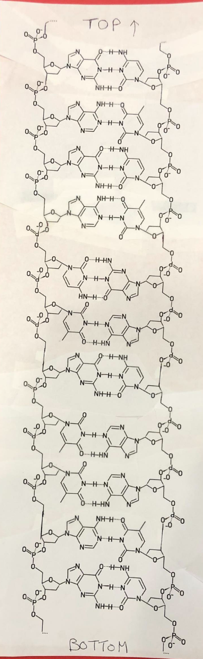 TOP ↑
HNH
N-H N
NHH ở
NH-H-
'NHN
N=
HNH
N-HN
N=
NHH-0
NH-H Q
NH-N
HHN
NH-N
HN-H--ở
N-H N
H-HN
HNH
NH N
NHH ở
N-H N
NH N.
OH-HN
NH-H
'NH-N
+ NH
N-HN
NHH0
BOTTOM
