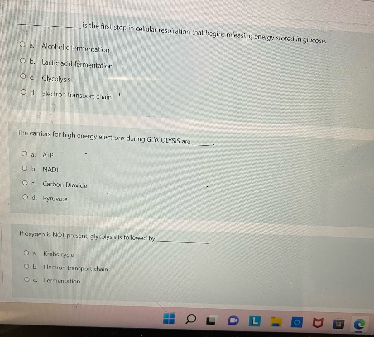 ### Cellular Respiration Quiz

---

**Question 1:**
____ is the first step in cellular respiration that begins releasing energy stored in glucose.

a. Alcoholic fermentation  
b. Lactic acid fermentation  
c. Glycolysis  
d. Electron transport chain  

---

**Question 2:**
The carriers for high-energy electrons during GLYCOLYSIS are _____.

a. ATP  
b. NADH  
c. Carbon Dioxide  
d. Pyruvate  

---

**Question 3:**
If oxygen is NOT present, glycolysis is followed by _____.

a. Krebs cycle  
b. Electron transport chain  
c. Fermentation  

---

This quiz consists of multiple-choice questions that aim to assess students' understanding of the cellular respiration process, focusing on the initial steps and subsequent reactions depending on the presence of oxygen. Each question invites students to choose the correct answer by identifying key components and processes involved in converting glucose into energy.