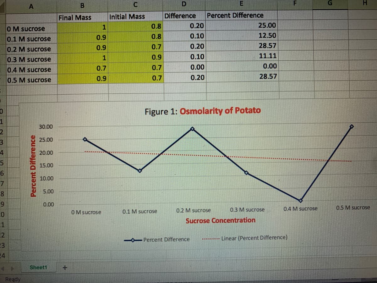 B
Percent Difference
25.00
Final Mass
Initial Mass
Difference
1
0.8
0.20
OM sucrose
0.1 M sucrose
0.9
0.8
0.10
12.50
0.2 M sucrose
0.9
0.7
0.20
28.57
0.3 M sucrose
1
0.9
0.10
11.11
0.4 M sucrose
0.7
0.7
0.00
0.00
0.5 M sucrose
0.9
0.7
0.20
28.57
Figure 1: Osmolarity of Potato
30.00
25.00
4
20.00
15.00
10.00
5.00
9.
0.00
0.2 M sucrose
0.3 M sucrose
0.4 M sucrose
0.5 M sucrose
OM sucrose
0.1 M sucrose
Sucrose Concentration
12
Percent Difference
........ Linear (Percent Difference)
24
Sheet1
Ready
Percent Difference
F.
