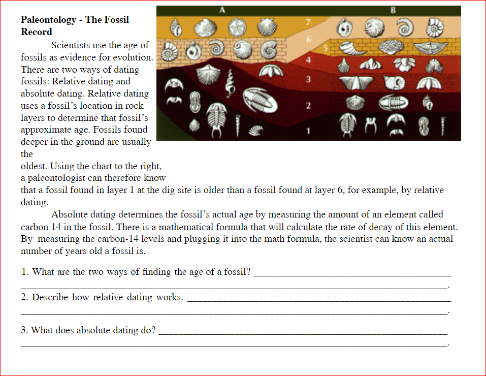 B
Paleontology - The Fossil
Record
Scientists use the age of
fossils as evidence for evolution.
There are two ways of dating
fossils: Relative dating and
absolute dating. Relative dating
3
uses a fossil's location in rock
2
layers to determine that fossil's
approximate age. Fossils found
deeper in the ground are usually
the
oldest. Using the chart to the right,
a paleontologist can therefore know
that a fossil found in layer 1 at the dig site is older than a fossil found at layer 6, for example, by relative
dating.
Absolute dating determines the fossil's actual age by measuring the amount of an element called
carbon 14 in the fossil. There is a mathematical formula that will calculate the rate of decay of this element.
By measuring the carbon-14 levels and plugging it into the math formula, the scientist can know an actual
number of years old a fossil is.
1. What are the two ways of finding the age of a fossil?.
2. Describe how relative dating works.
3. What does absolute dating do?
