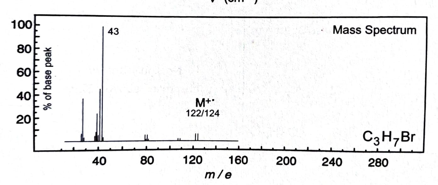 % of base peak
100-
Mass Spectrum
43
80
60
40
M+
122/124
20
C3H,Br
40
80
120
160
200
240
280
m/e
