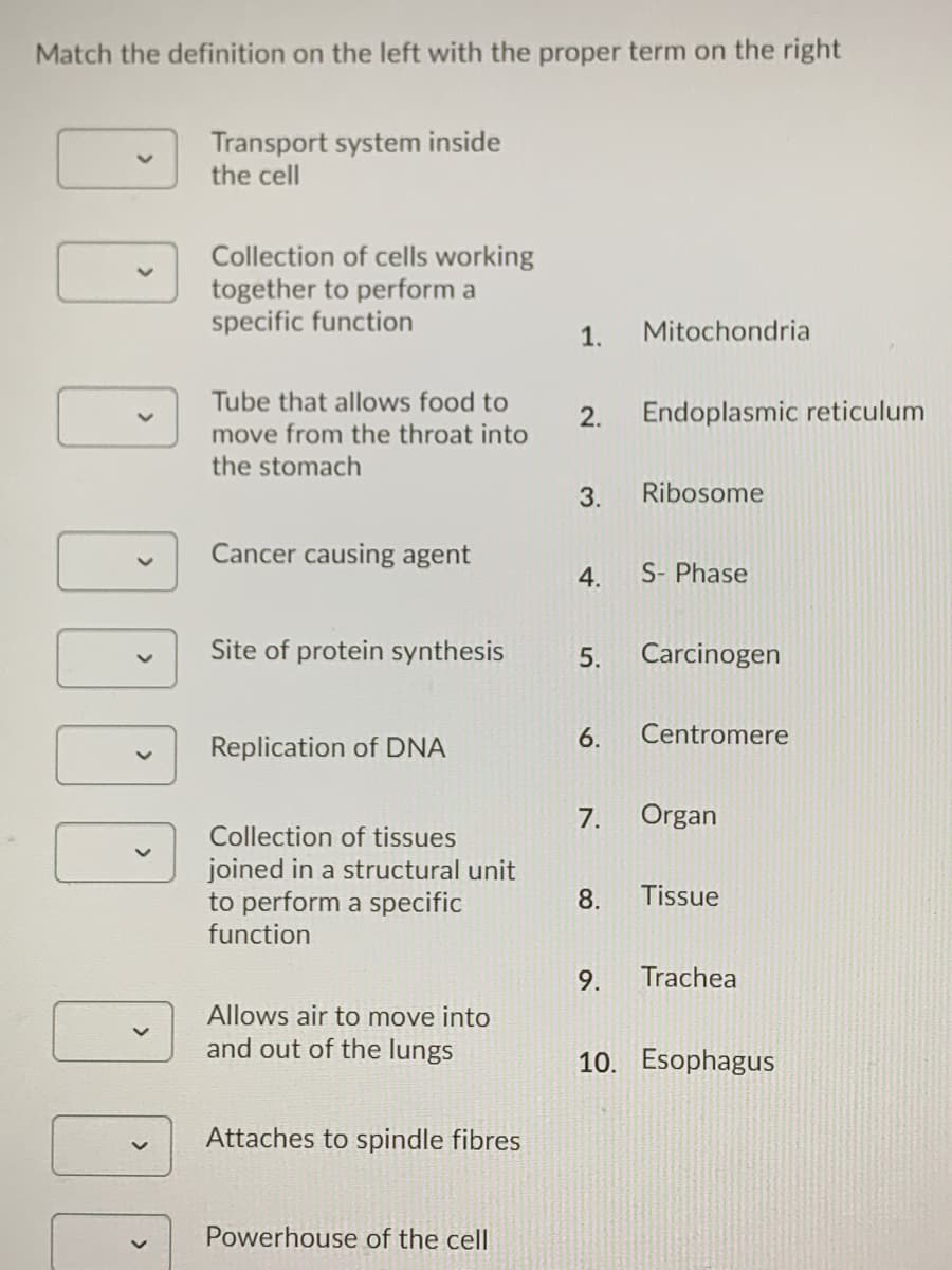 Match the definition on the left with the proper term on the right
Transport system inside
the cell
Collection of cells working
together to perform a
specific function
1.
Mitochondria
Tube that allows food to
2.
Endoplasmic reticulum
move from the throat into
the stomach
3.
Ribosome
Cancer causing agent
4.
S- Phase
Site of protein synthesis
5.
Carcinogen
6.
Centromere
Replication of DNA
7.
Organ
Collection of tissues
joined in a structural unit
to perform a specific
function
8.
Tissue
9.
Trachea
Allows air to move into
and out of the lungs
10. Esophagus
Attaches to spindle fibres
Powerhouse of the cell
