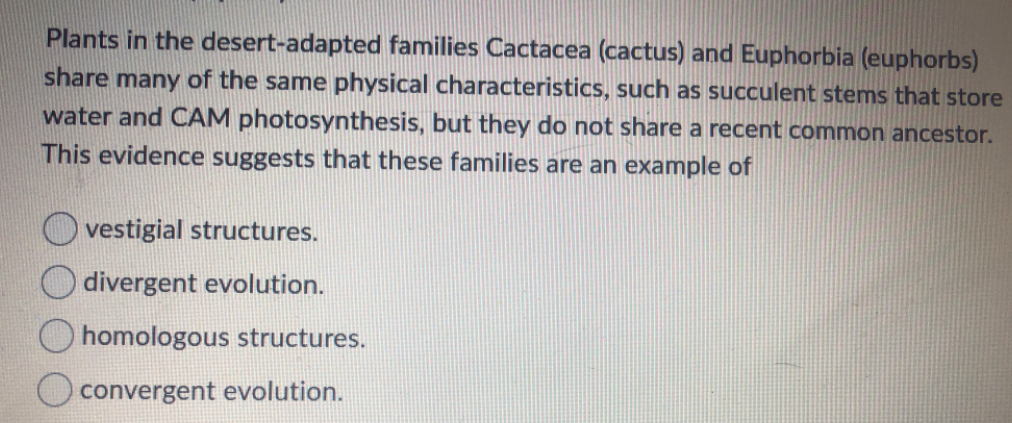 Plants in the desert-adapted families Cactacea (cactus) and Euphorbia (euphorbs)
share many of the same physical characteristics, such as succulent stems that store
water and CAM photosynthesis, but they do not share a recent common ancestor.
This evidence suggests that these families are an example of
vestigial structures.
divergent evolution.
homologous structures.
convergent evolution.

