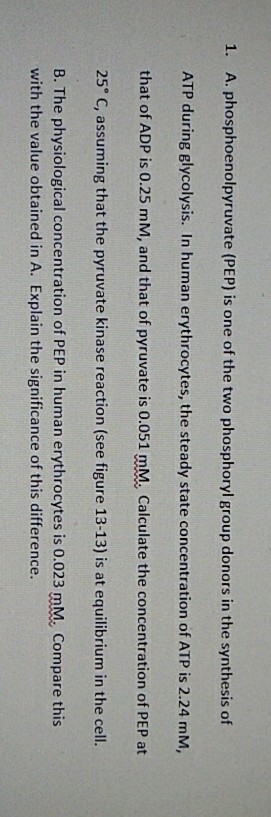 1. A. phosphoenolpyruvate (PEP) is one of the two phosphoryl group donors in the synthesis of
ATP during glycolysis. In human erythrocytes, the steady state concentration of ATP is 2.24 mM,
that of ADP is 0.25 mM, and that of pyruvate is 0.051 mM. Calculate the concentration of PEP at
25° C, assuming that the pyruvate kinase reaction (see figure 13-13) is at equilibrium in the cell.
B. The physiological concentration of PEP in human erythrocytes is 0.023 mM. Compare this
with the value obtained in A. Explain the significance of this difference.
