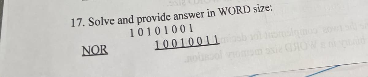 17. Solve and provide answer in WORD size:
10101001
s t02, combonicu
pn us MOKD 2NG UCO
NOR
10010011
