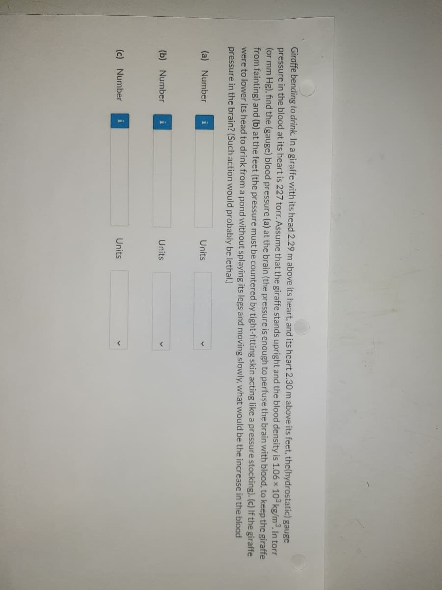 Giraffe bending to drink. In a giraffe with its head 2.29 m above its heart, and its heart 2.30m above its feet, the(hydrostatic) gauge
pressure in the blood at its heart is 227 torr. Assume that the giraffe stands upright and the blood density is 1.06 x 10° kg/m. In torr
(or mm Hg), find the (gauge) blood pressure (a) at the brain (the pressure is enough to perfuse the brain with blood, to keep the giraffe
from fainting) and (b) at the feet (the pressure must be countered by tight-fitting skin acting like a pressure stocking). (c) If the giraffe
were to lower its head to drink from a pond without splaying its legs and moving slowly, what would be the increase in the blood
pressure in the brain? (Such action would probably be lethal.)
(a) Number
Units
(b) Number
Units
(c) Number
Units

