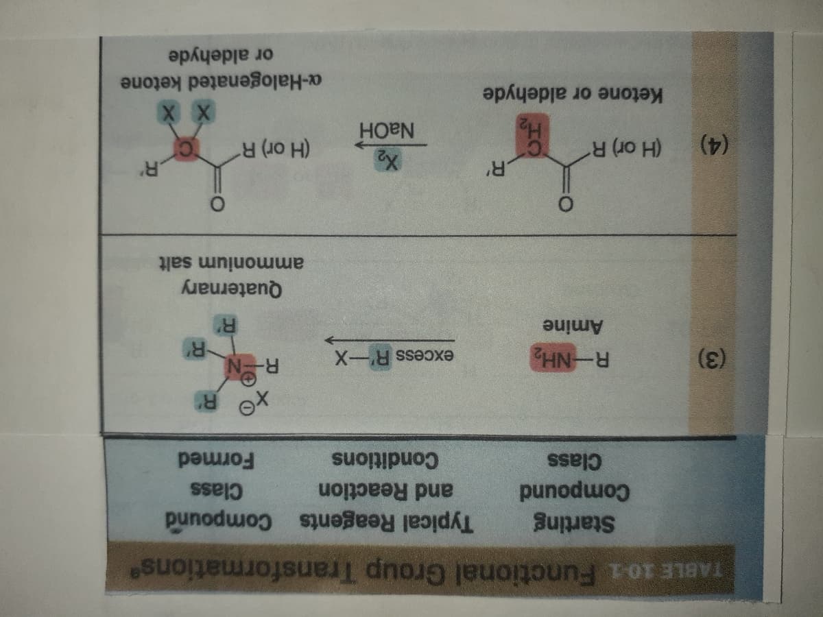 TABLE 10-1 Functional Group Transformations
Starting
Typical Reagents Compound
punodw
Class
and Reaction
Class
Conditions
Formed
R-NH
excess R'-X
Amine
Quaternary
ammonium salt
(H or) R
(H or) R
(4)
Ketone or aldehyde
NAOH
a-Halogenated ketone
or aldehyde
(3
