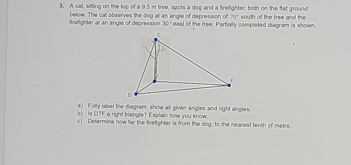 3. A cat, sitting on the top of a 9,5 m tree, spots a dog and a firefighter, both on the flat ground
below. The cat observes the dog at an angle of depression of 70° south of the tree and the
firefighter at an angle of depression 30° east of the tree. Partially completed diagram is shown.
C
a) Fully label the diagram, show all given angles and right angles.
b) Is DTF a right triangle? Explain how you know.
c) Determine how far the firefighter is from the dog, to the nearest tenth of metre.
