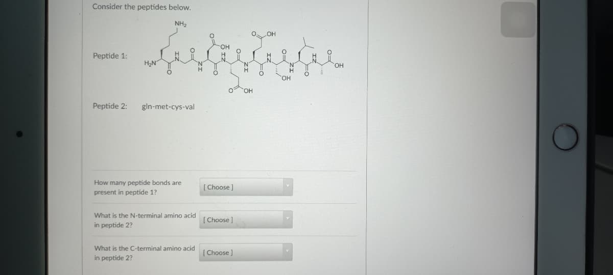 Consider the peptides below.
NH,
O OH
OH
Peptide 1:
H,N
'N'
'N
OH
но.
OH
Peptide 2:
gln-met-cys-val
How many peptide bonds are
Choose ]
present in peptide 1?
What is the N-terminal amino acid
Choose]
in peptide 2?
What is the C-terminal amino acid
Choose ]
in peptide 2?
