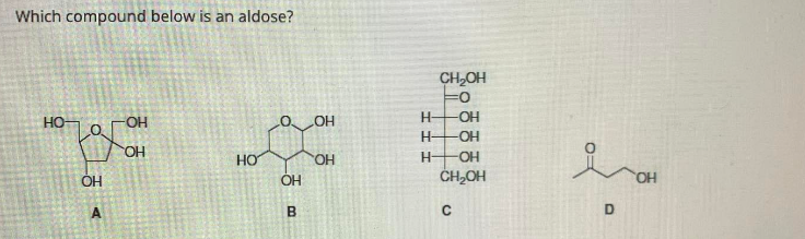 Which compound below is an aldose?
НО-
-OH
HO
OH
A
HO
OH
B
HO
HO.
-H
-H
-Н
CH₂OH
Fo
-OH
-OH
-OH
CH₂OH
C
олон
D