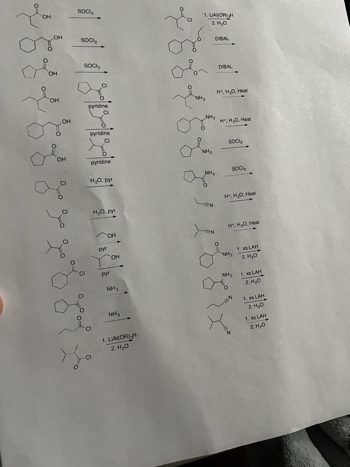 SOCI₂
OH
OH
SOCI 2
SOCI 2
OH
OH
CI
1. LIAI(OR)3H
2. H₂O
DIBAL
DIBAL
CI
H+, H2O, Heat
NH2
pyridine
CI
OH
NH2
H+, H₂O, Heat
pyridine
CI
SOCI 2
NH2
OH
pyridine
SOCI₂
NH2
CI
H₂O, pyr
H+, H₂O, Heat
CI
H₂O, pyr
ΕΝ
CI
pyr
OH
O
OH
CI
pyr
NH3
CI
NH3
CI
CI
1. LiAl(OR)3H
2. H₂O
NE
H+, H2O, Heat
0
NH2
1. xs LAH
2. H₂O
NH2
=N
N
1. xs LAH
2. H₂O
1. xs LAH
2. H₂O
1. xs LAH
2. H₂O