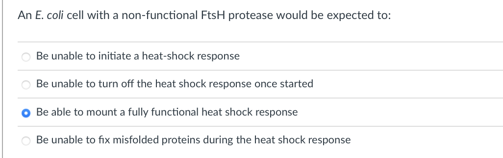 An E. coli cell with a non-functional FtsH protease would be expected to:
Be unable to initiate a heat-shock response
O Be unable to turn off the heat shock response once started
Be able to mount a fully functional heat shock response
Be unable to fix misfolded proteins during the heat shock response