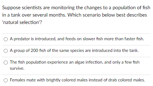 Suppose scientists are monitoring the changes to a population of fish
in a tank over several months. Which scenario below best describes
'natural selection'?
O A predator is introduced, and feeds on slower fish more than faster fish.
A group of 200 fish of the same species are introduced into the tank.
The fish population experience an algae infection, and only a few fish
survive.
O Females mate with brightly colored males instead of drab colored males.
